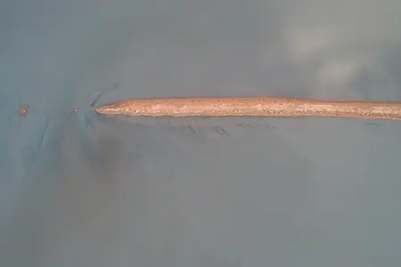 DJI_0508-Enhanced-NR
