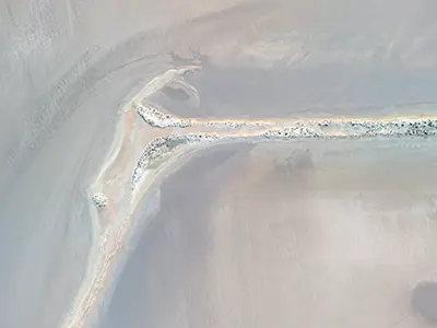 DJI_20240722172452_0011_D-Enhanced-NR