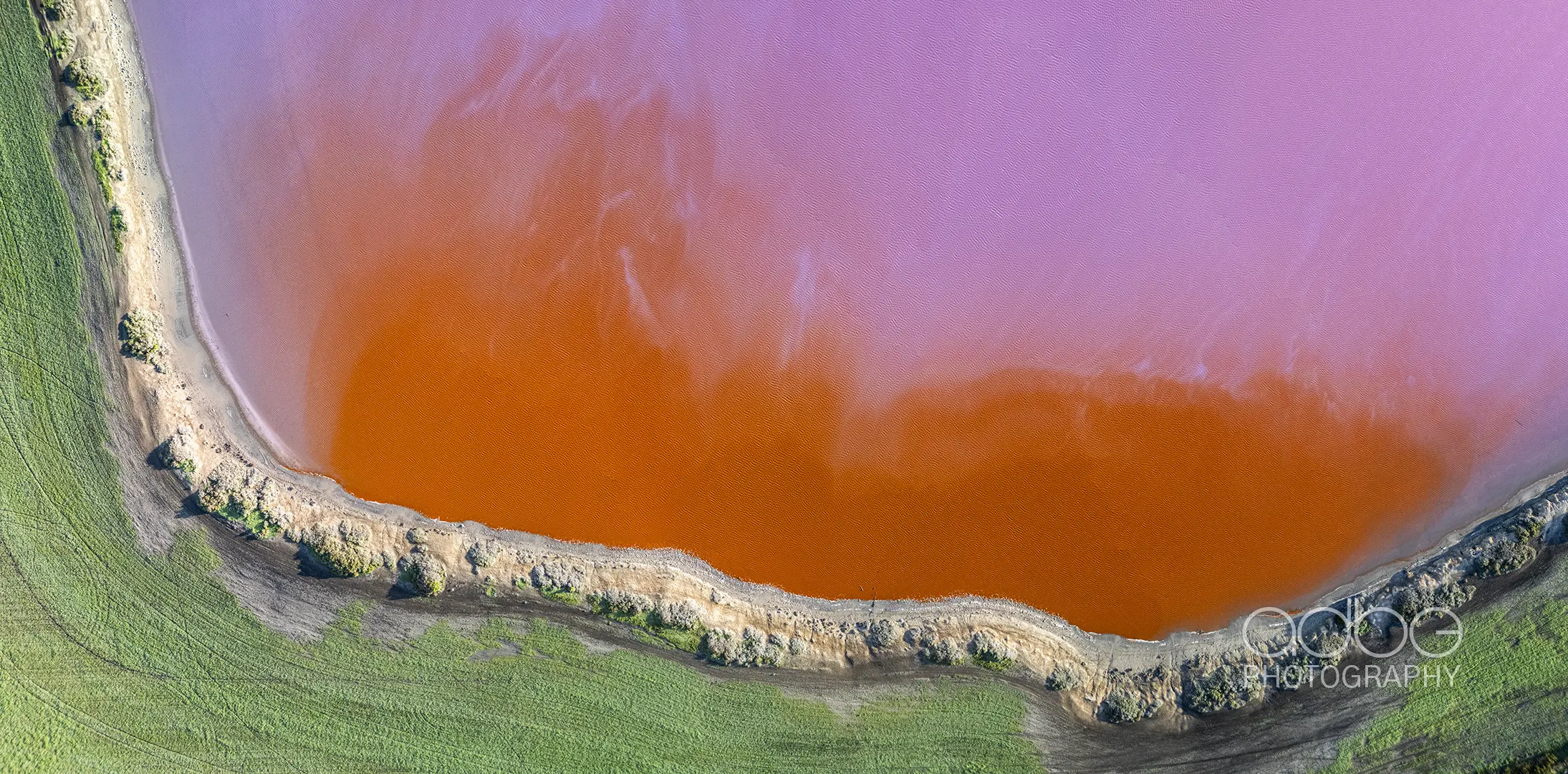 DJI_20240806082315_0338_D-Pano_-_Copy