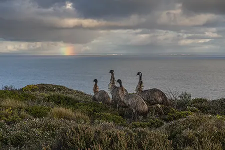 IMG_1471