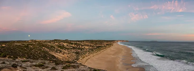 IMG_8390-Pano
