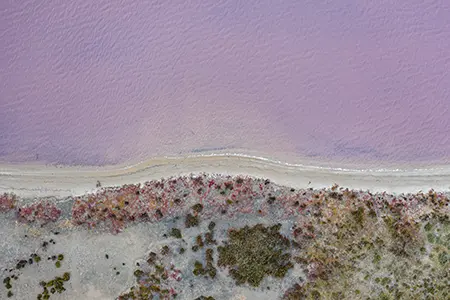 DJI_0516