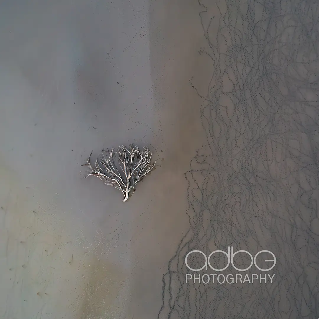 DJI_0165-Enhanced-NR