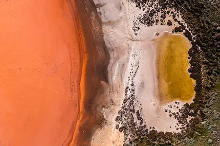 DJI_0558