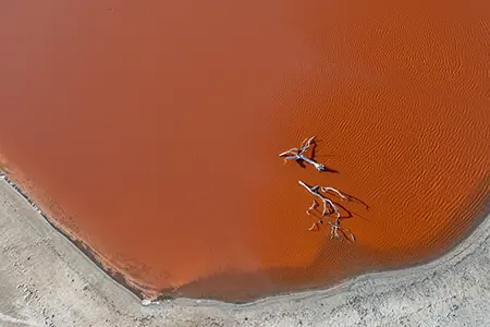 DJI_0599_(2)