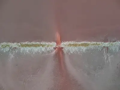DJI_20240924181500_0933_D