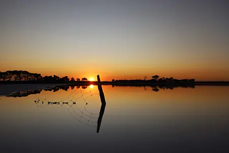 Sunset_10