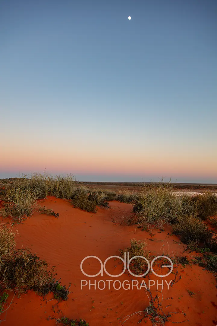 091A1454-Enhanced-NR