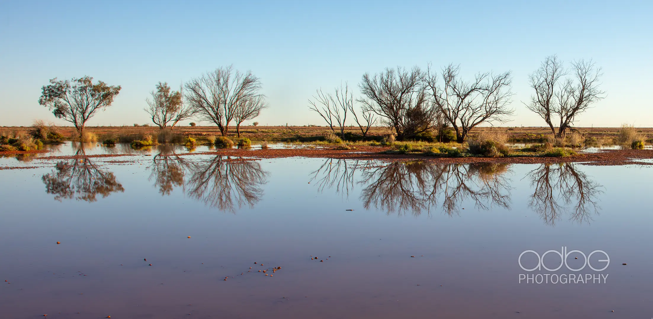 091A1577-Enhanced-NR