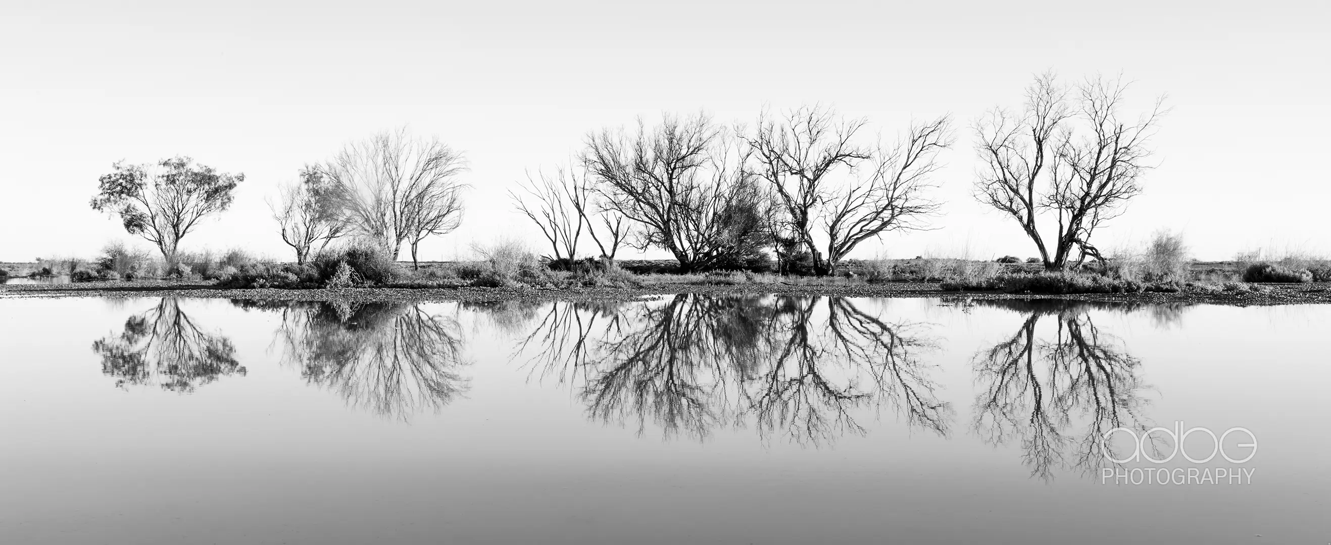 091A1591-Enhanced-NR