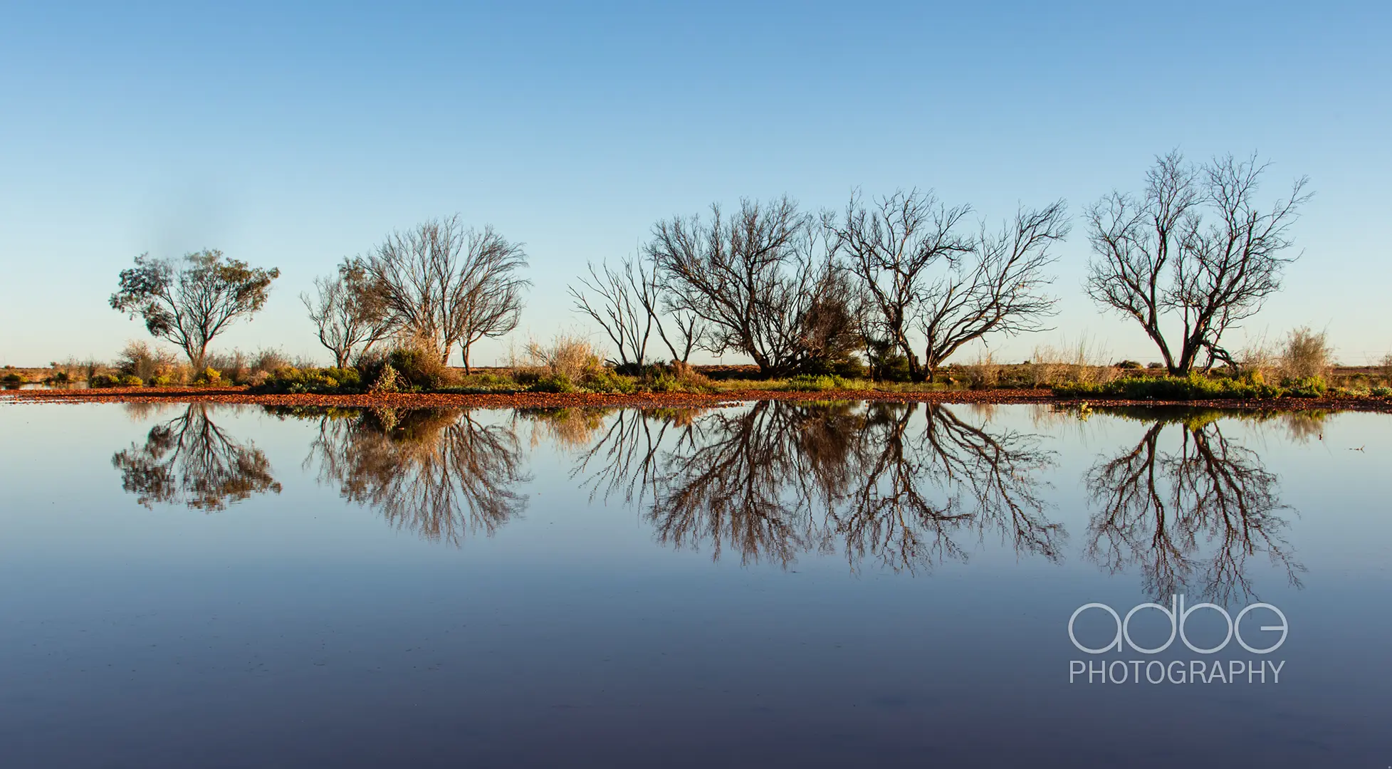 091A1593-Enhanced-NR