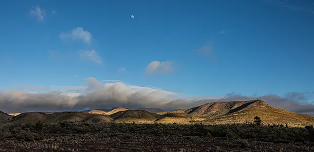IMG_0834-Pano