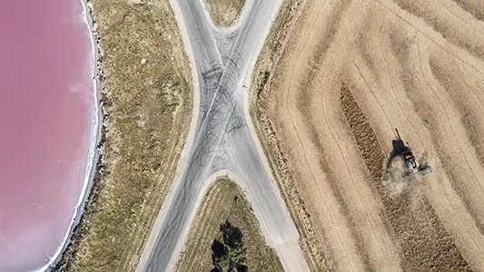 Agriculture_8