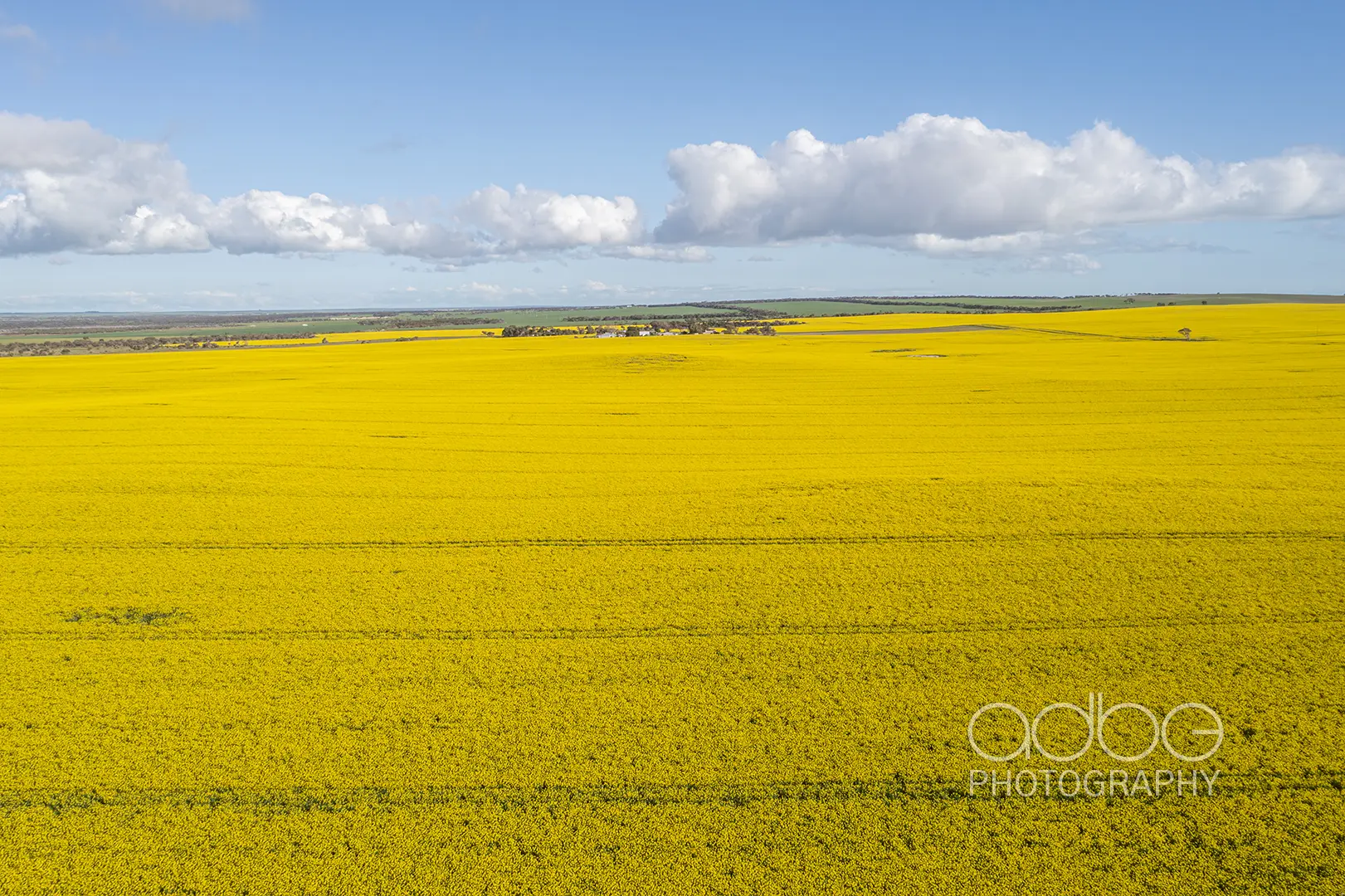 DJI_0054-Enhanced-NR