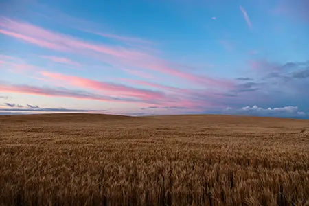 Sunset_2